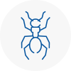Ant Removals In Pickering
