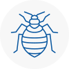 Bed Bug Extermination In Pickering