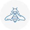 Bee Nest Removal Pickering