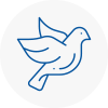 Bird Prevention Pickering