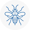 Pickering Hornet Nest Removals