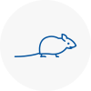 Mice Exterminators In Pickering