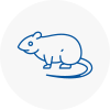 Rat Control Pickering