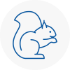 Pickering Rodent Removals