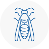 Pickering Wasp Nest Removal